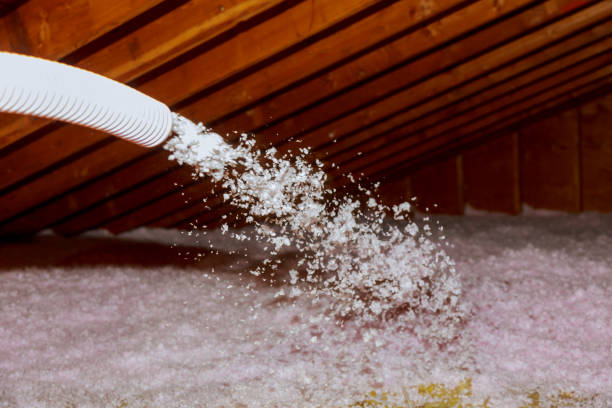 Best Insulation Contractors for Homes  in Daytona Beach Shores, FL