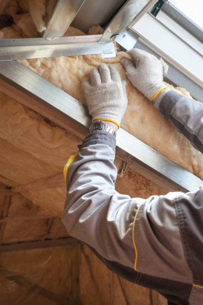 Best Affordable Insulation Services  in Daytona Beach Shores, FL