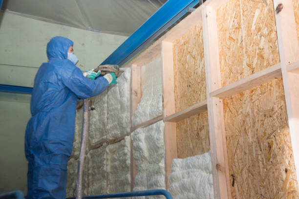 Best Wall Insulation Contractor  in Daytona Beach Shores, FL