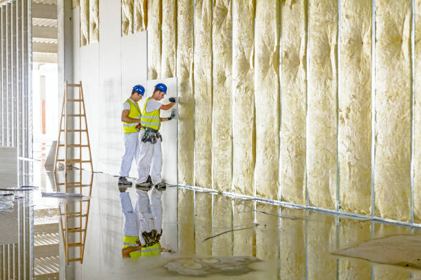 Best Insulation Removal  in Daytona Beach Shores, FL